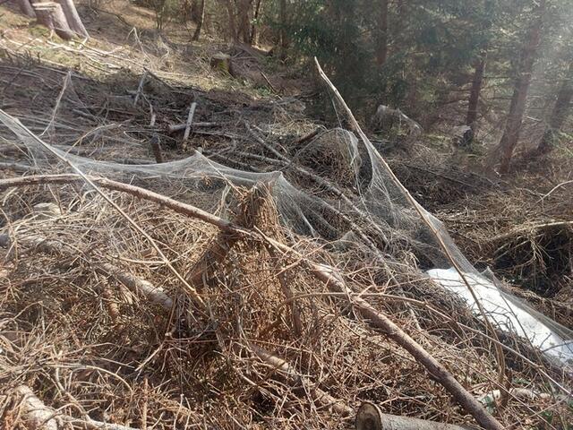 Foto: Alpenverein Enns