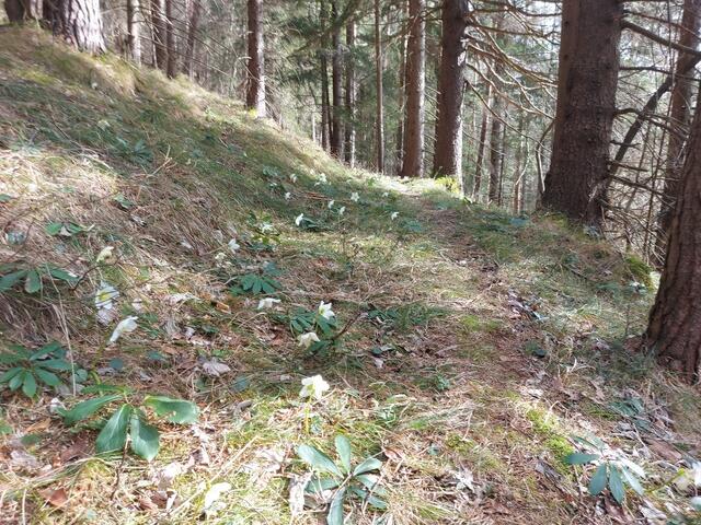 Foto: Alpenverein Enns