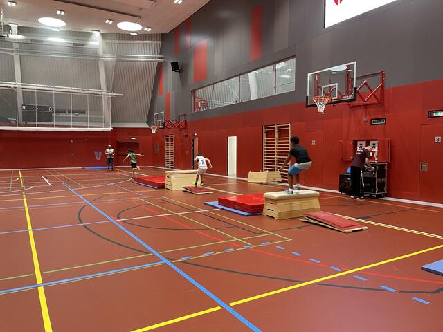 Die bunten Linien am Boden bieten Orientierung bei diversen Ballsportarten. | Foto: Teischl/RMA