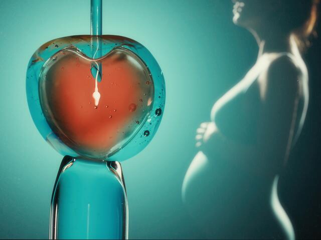 DIE IVF kann Paaren den Kinderwunsch erfüllen. | Foto: stock.adobe: svetazi