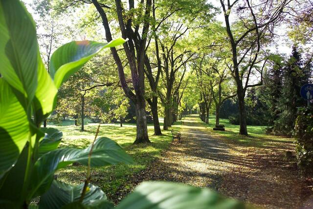Der Kurpark in Bad Gleichenberg | Foto: TV Thermen- und Vulkanland