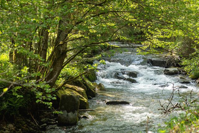 Die Gemeinde Frantschach-St. Gertraud konnte beim Neptun Staatspreis für Wasser 2023 den Landessieg in Kärnten sichern. (Symbolfoto) | Foto: stock.adobe.com/at/ lichtblitze