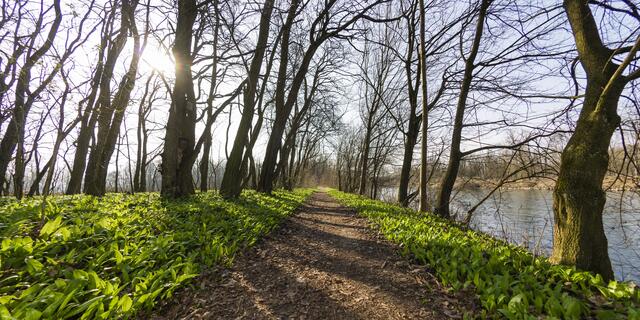 Kraft tanken kann man hervorragend in den Murauen. | Foto: pixelmaker.at/TV Thermen- und Vulkanland
