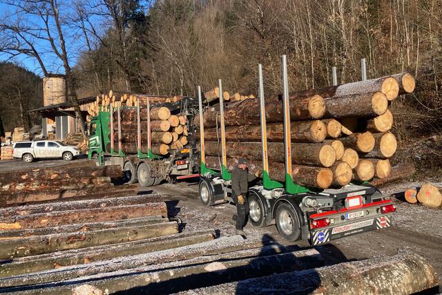 Die 300 Festmeter Holz (Tanne, Fichte) für den Neubau des Naturkindergartens stammen aus Wäldern der Stadt | Foto: Stadt Dornbirn