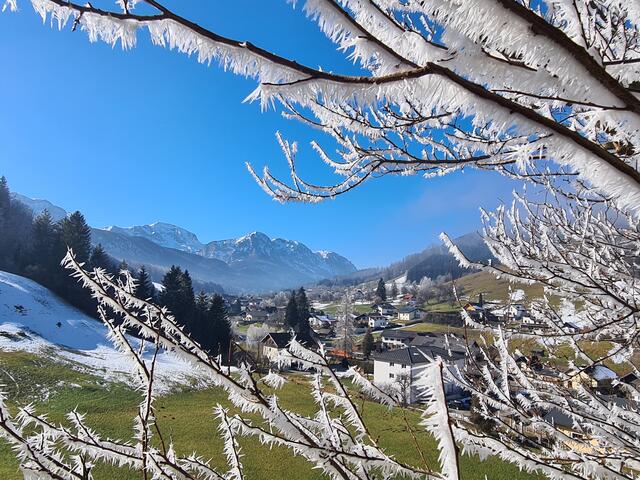 Im Hintergrund das Höllengebirge. 
Siehe auch meinen Beitrag,  
"Ausflug nach Neukirchen!"