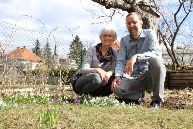Walter Steinwender (Obmann vom Obst- und Gartenbauverein) ist selbst begeisterter Hobbygärtner und setzt auf naturnahes Garteln ohne Chemie. | Foto: MeinBezirk.at