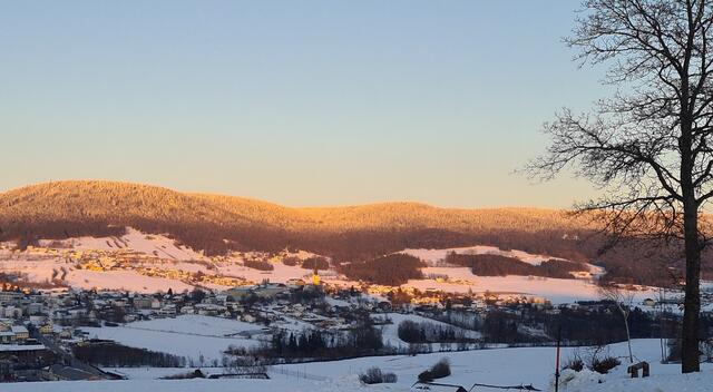  Ulrichsberg erleuchtet von der Abendsonne