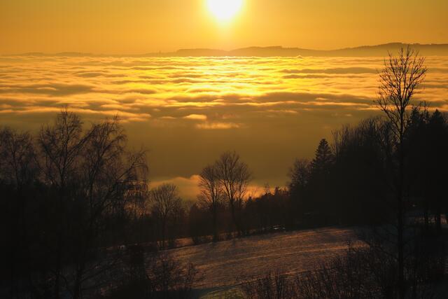 Glück heißt den Nebel von oben betrachte zu können | Foto: Plattner Peter 