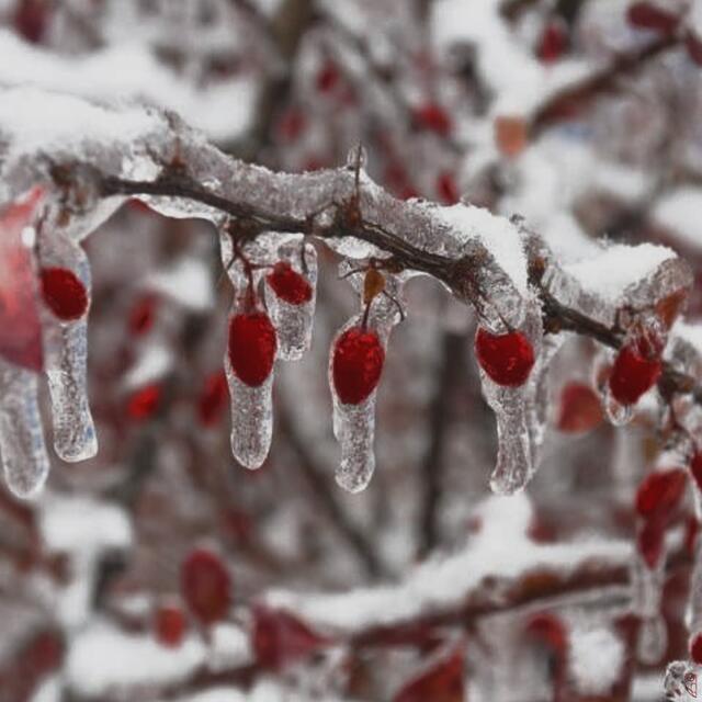 Die Februarsonne hat nach langem Ringen endlich über die Kälte des Tages gesiegt.
Ihre goldenen Strahlen lassen Eis und Schnee schmelzen.
Nachtfrost hat dennoch immer noch die Macht in der Natur.
Der Frühling wird kommen, der Winter bleibt nicht.
 | Foto: Josef Glaser