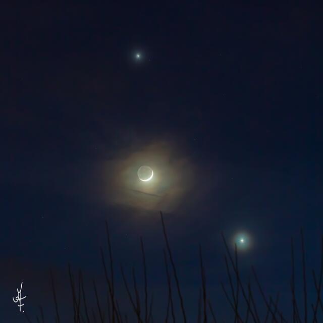 Venus und Jupiter mit Mond | Foto: Albert Friedl