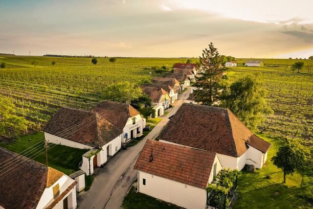 Ein Kleinod des Weinviertels: die Kellergasse Zellerndorf. | Foto: Weinviertel Tourismus / Herbst