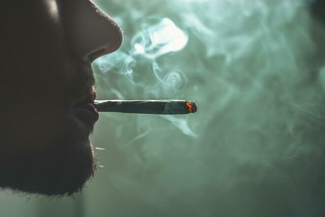 Wenn man sich die Zahlen aus dem jüngsten Wiener Suchtmittelmonitoring aus dem vergangenen Jahr anschaut, liegt die Lebenszeitprävalenz (also Konsumerfahrung) in Wien am höchsten beim Cannabis - 27 Prozent | Foto: GRAS GRÜN/Unsplash