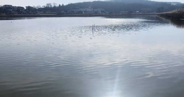 Foto: Elisabeth Kloiber