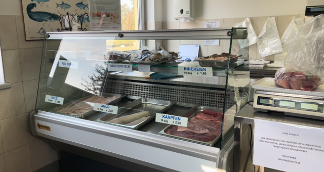 Foto: Elisabeth Kloiber