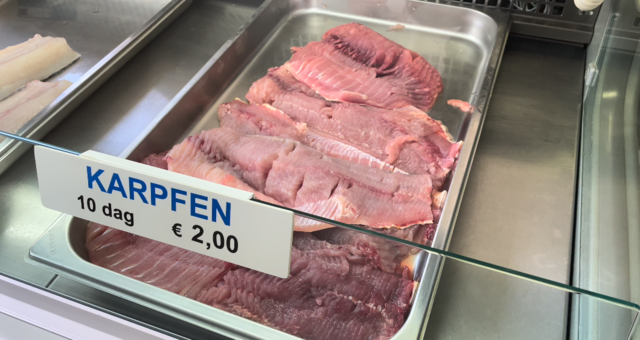 Foto: Elisabeth Kloiber