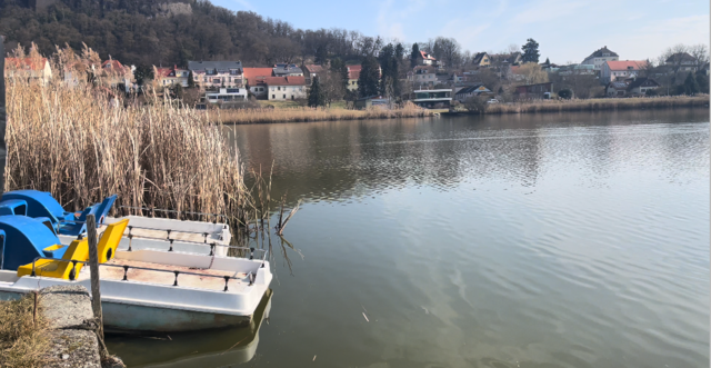 Foto: Elisabeth Kloiber