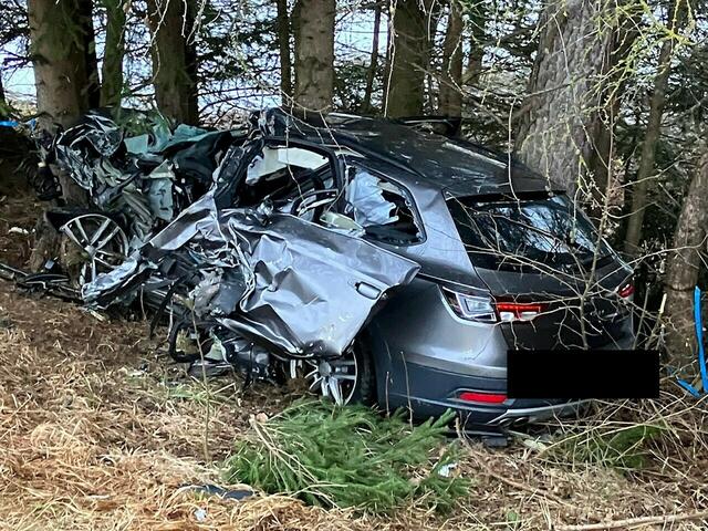 Der Pkw war über die Böschung in die angrenzenden Bäume geprallt. | Foto: RK Salzburg