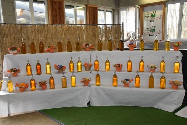 Foto: Alois Braid/zema-medien.de