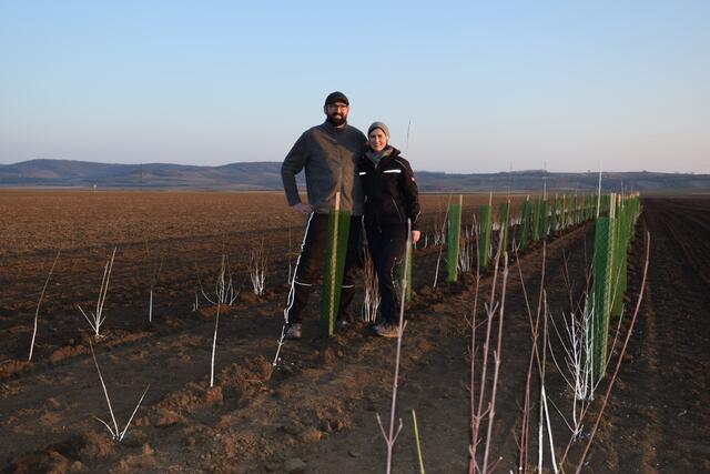 Monika und Michael Sailer setzten im Pulkautal eine Mehrnutzenhecke aus. | Foto: arbes