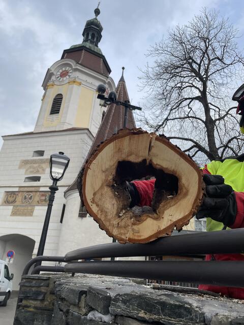 Foto: Fürst
