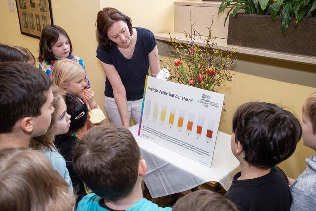 Was die Farbe des Harns über den Gesundheitszustand verrät, erklärte Doz.in Dr.in Maria Haller den Volksschüler*innen mit Hilfe eines Plakats. | Foto: Ordensklinikum Linz