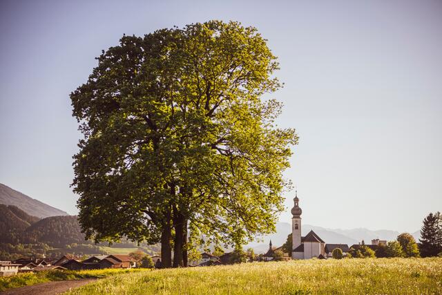 Dieser Kraftort in der Gemeinde Mils hat eine besondere Geschichte zu erzählen.  | Foto: TVB Hall-Wattens