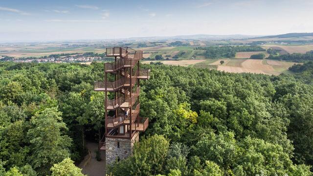 Die Kolistkowarte im Hollabrunner Kirchenwald. | Foto: NÖ gestalten