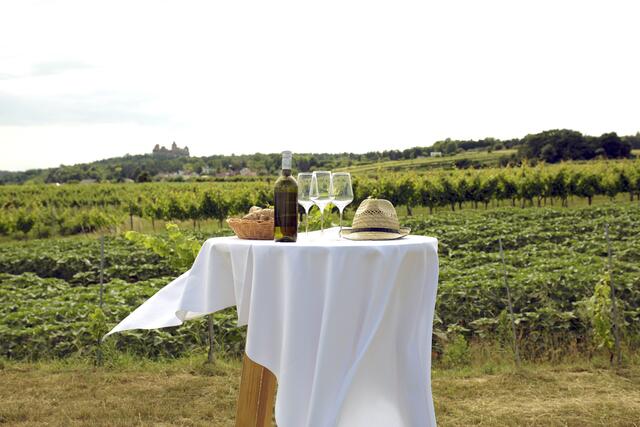 Typisch für das Weinviertel: der Grüne Veltliner. | Foto: Weinviertel Tourismus / Wurnig
