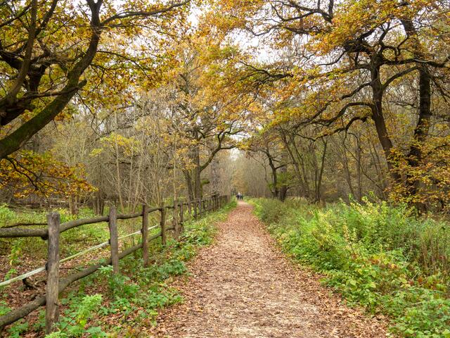 Marchegger Au: wo die Natur zu Hause ist. | Foto: Wachau Inside