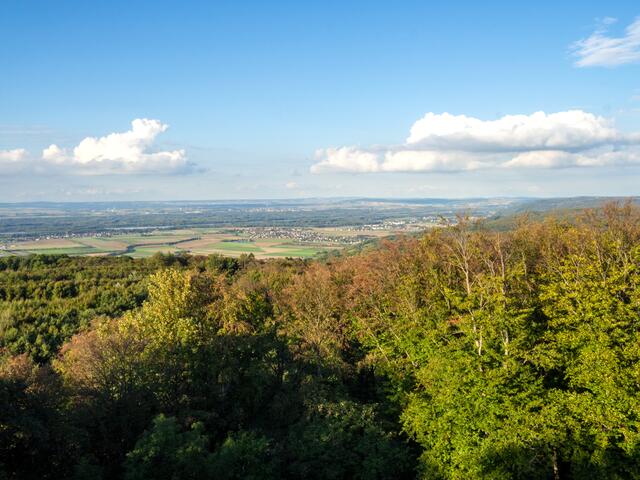 Der Blick von der Leopold-Figl-Warte. | Foto: Wachau Inside