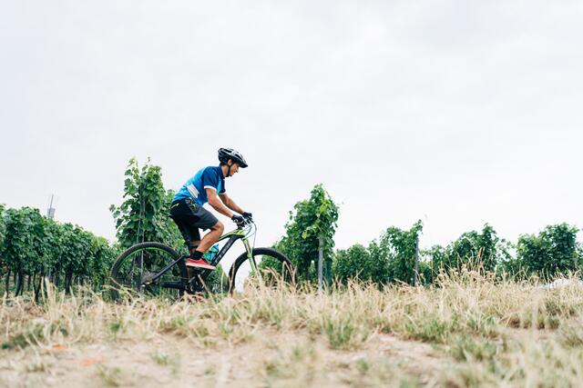 Foto: Weinviertel Tourismus / Gollner