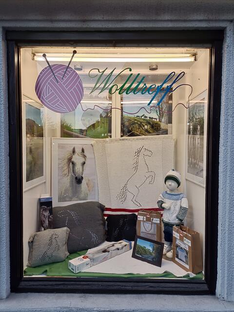 Willkommen im Wolltreff von Eva Gruber in der Köflacher Innenstadt! | Foto: Angelina Gruber