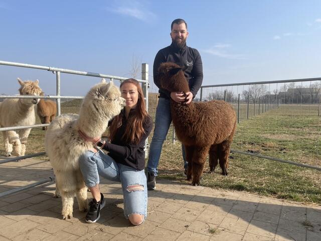 Kathrin Slamanig und Manuel Pinetz freuen sich über Neuzugang in ihrer Herde in Frauenkirchen. | Foto: Victoria Nagy