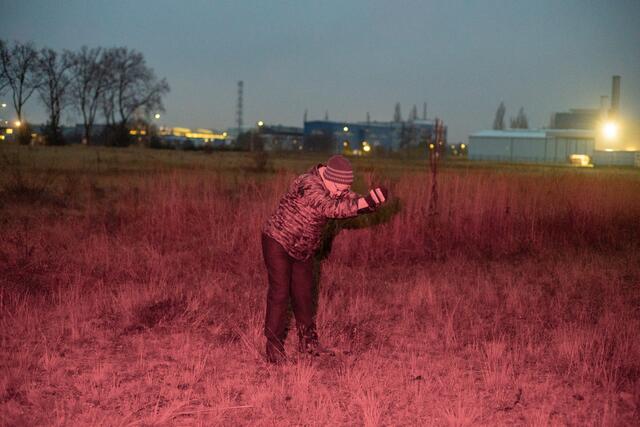Historische Fotografien, Künstlerische Positionen und Interviews mit Experten erzählen in der Schau die Geschichte der Fotokunst. | Foto: Tobias Zielony, Bildrecht Wien
