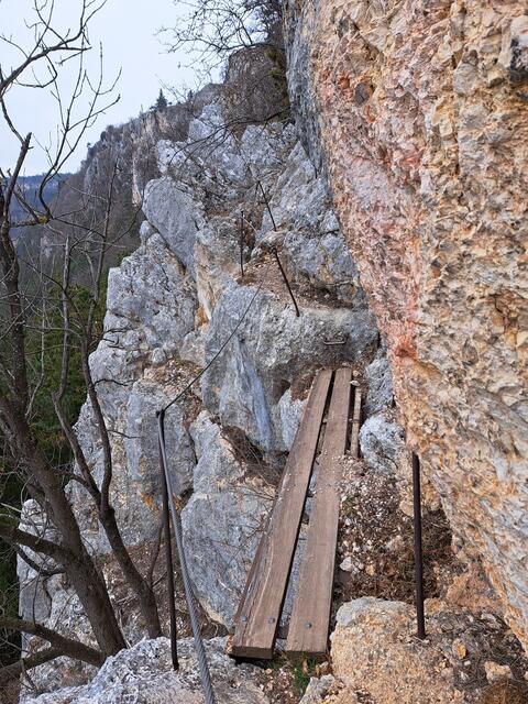 ... diese Stelle wird mit einem Brückerl überwunden - danke an die Freiwilligen die den Steig instandhalten !!!

 | Foto: Walter Fuchs