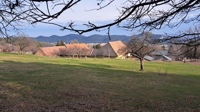 ... Ausgangspunkt der Wanderung ist beim Loderhof ...

 | Foto: Walter Fuchs