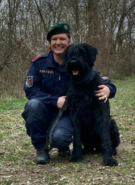Der Spezialfährtenspürhund "Bolle von der Karthaus" konnte eine abgängige 94-Jährige finden. | Foto: LPD NÖ