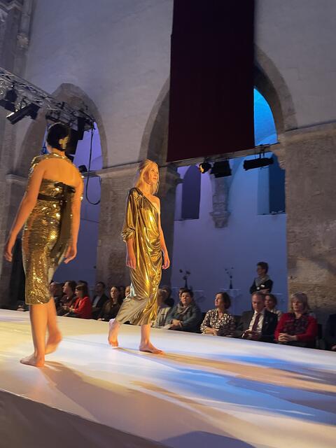 Musen in Gold | Foto: sg