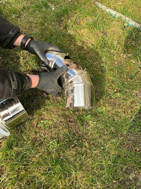 In St. Pölten wurde eine Eule gerettet. | Foto: Doku NÖ