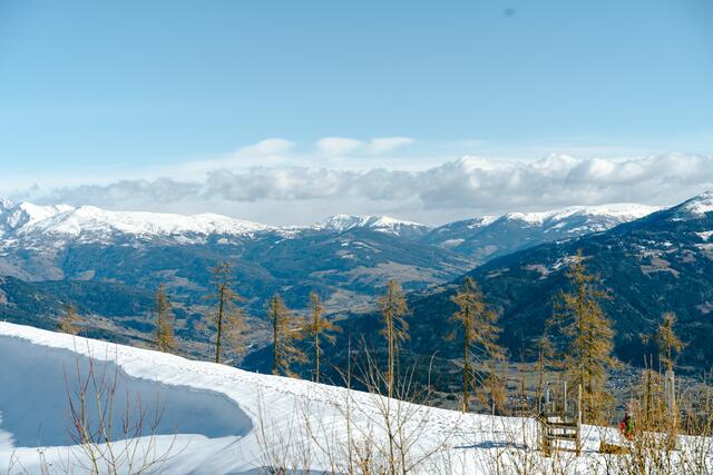 Foto: Zippo Photography