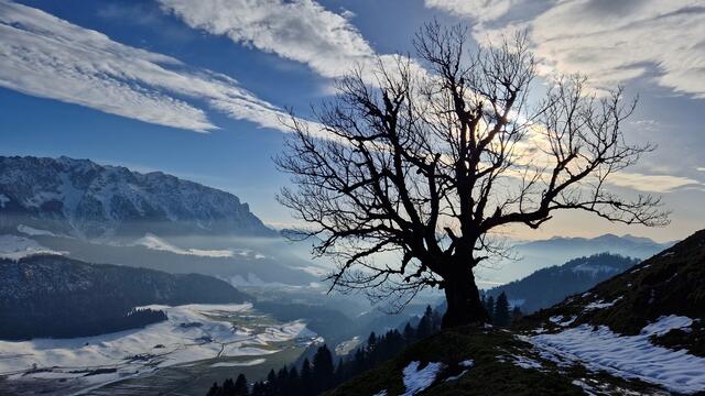 Blick über das Naturschutzgebiet Schwemm in Walchsee entlang des zahmen Kaisers nach Kufstein | Foto: Josef Hechenblaickner