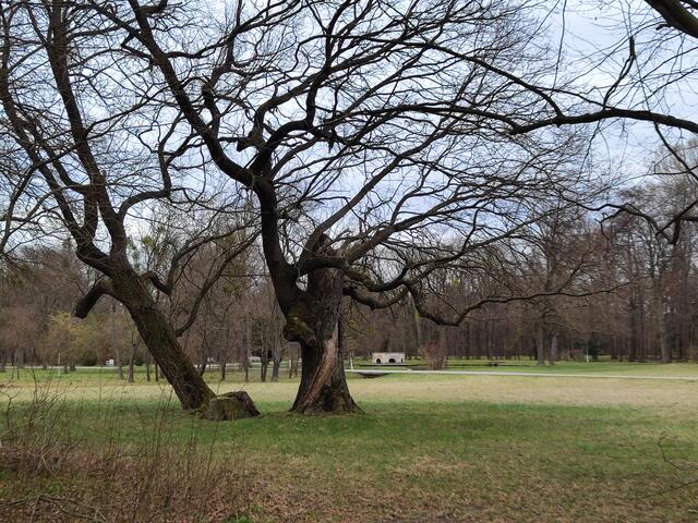 ..und hier nach rechts | Foto: I.Wozonig