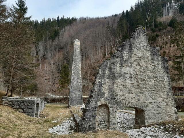 ehemaliger Vorderhammer im Steinbachtal | Foto: Margit Brandstätter