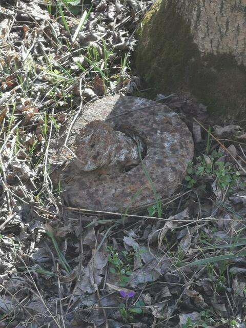 Bei einem Sonntagsspaziergang in einem Wald in der Donaustadt stießen zwei Männer auf einen metallischen Gegenstand. Dieser entpuppte sich als Teilstück einer längst vergessenen Fliegerbombe. Der Entminungsdienst musste ran. | Foto: LPD Wien