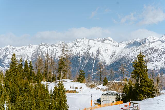 Foto: Zippo Photography