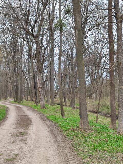 gemütliche Wege kann man je nach Laune kombinieren | Foto: I.Wozonig