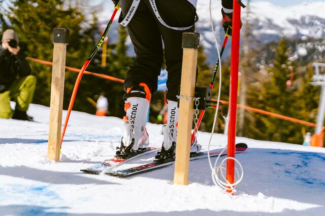 Foto: Zippo Photography