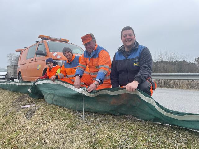 Die Mitarbeiter der Straßenmeisterei stellen die Zäune auf: Andreas Stark, Stefan Hauer, Manfred Binder und Daniel Pollak (v.l.) | Foto: Daniel Schmidt
