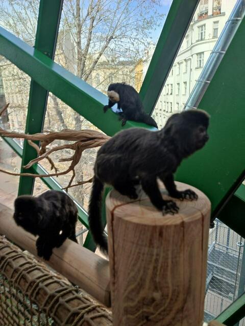 Foto: Tamara Wendtner
