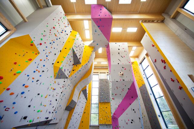 Schnupperklettern in der Kletterhalle Gaflenz.  | Foto: Pichler